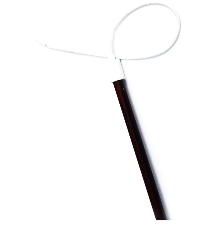 Unikátní výhody topení ponoření příruby při zpracování potravin